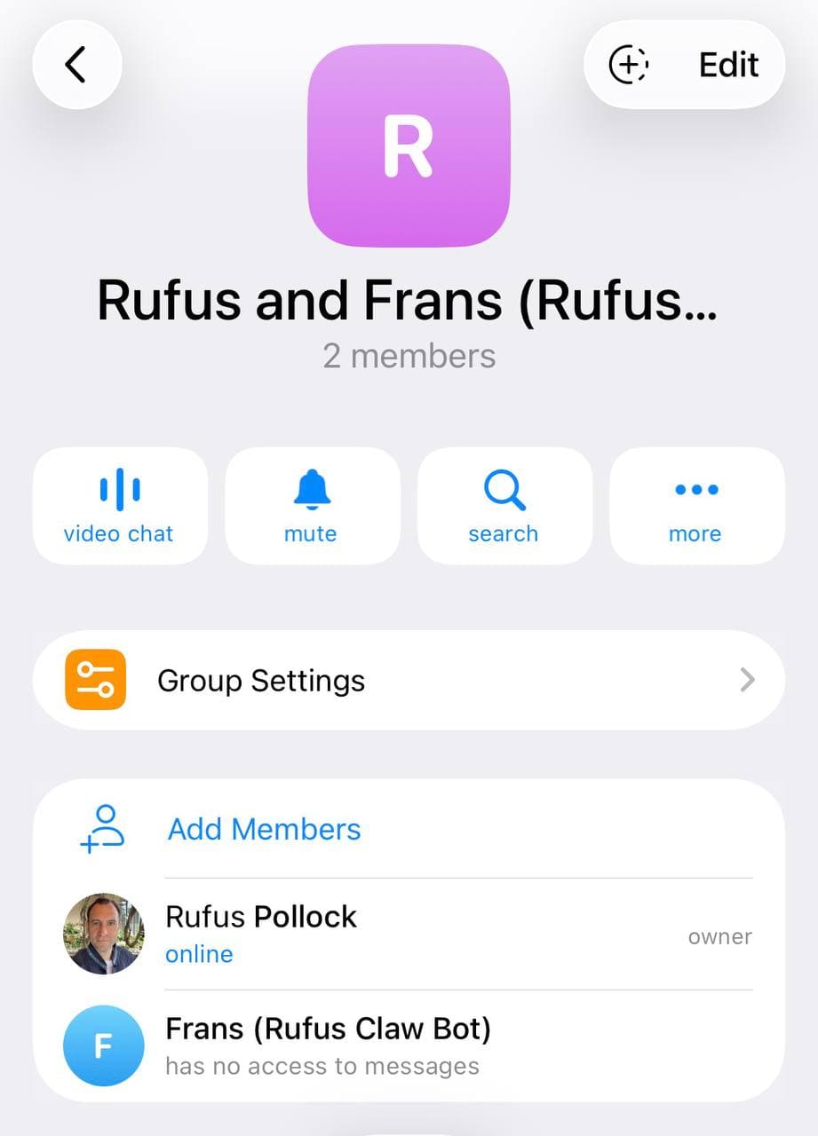 Telegram bot showing "has no access to messages"